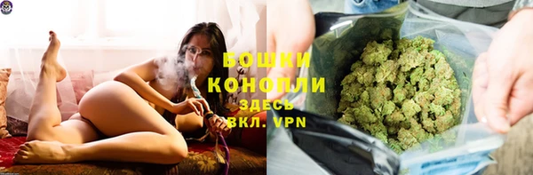 индика Покровск