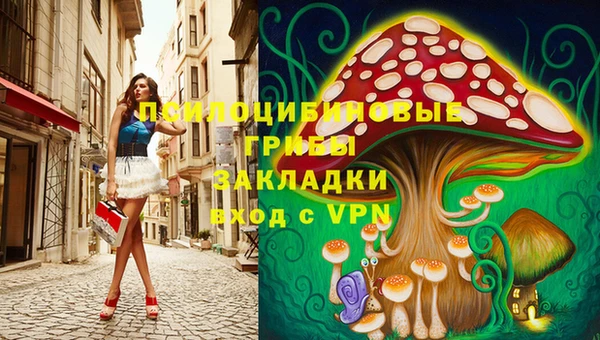 твердый Абинск