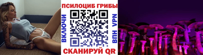 Псилоцибиновые грибы Psilocybine cubensis  наркота  Протвино 