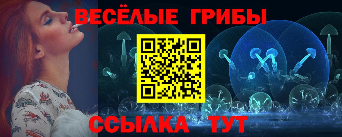 Псилоцибиновые грибы Psilocybine cubensis Протвино