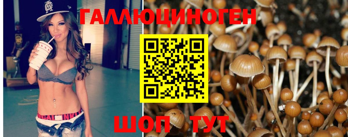 Протвино  Псилоцибиновые грибы Psilocybe  Вход с VPN 